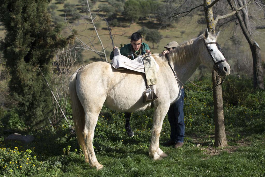 Гостевой дом Cortijo El Berrocal Казалла де ла Сиерра Экстерьер фото